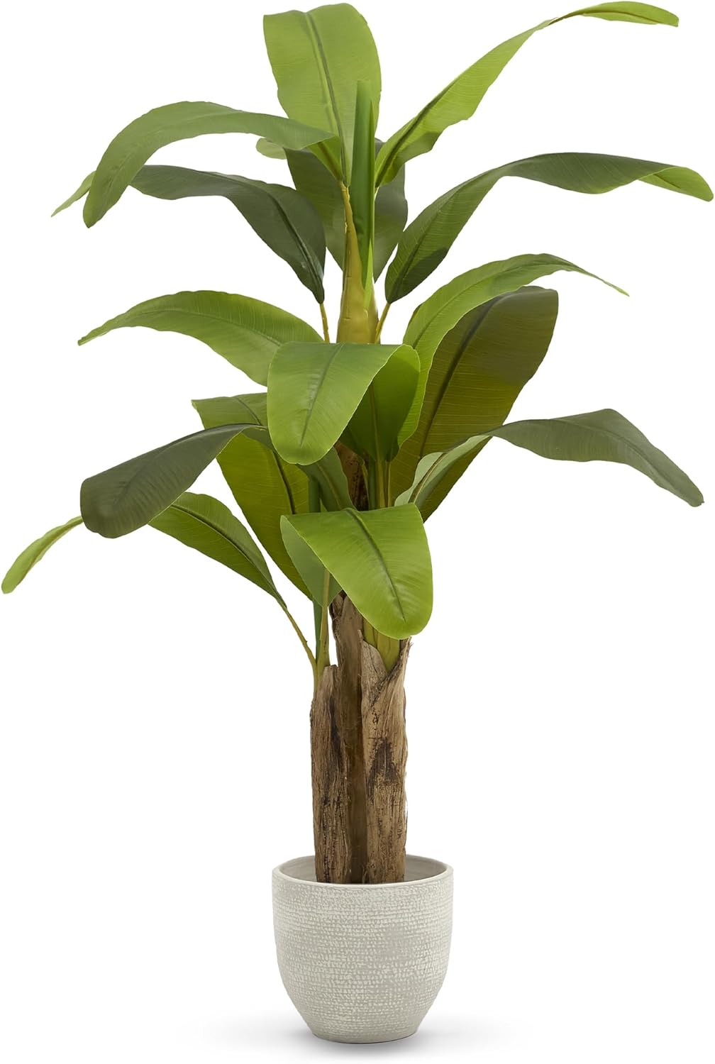 Maia Shop Platanera Artificial 150cm