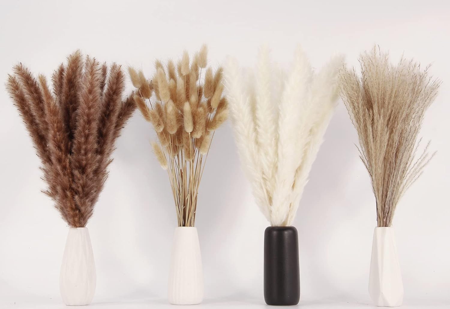 Decoración de Pampas Grass Secas