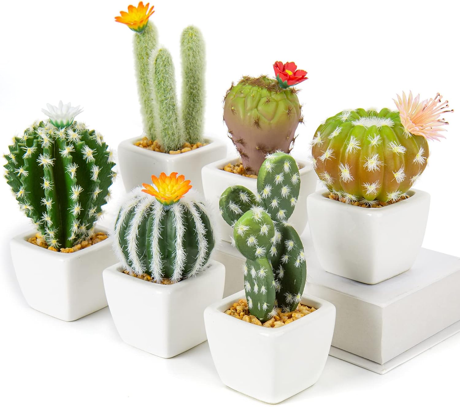 Juego de 6 Cactus Artificiales en Maceta
