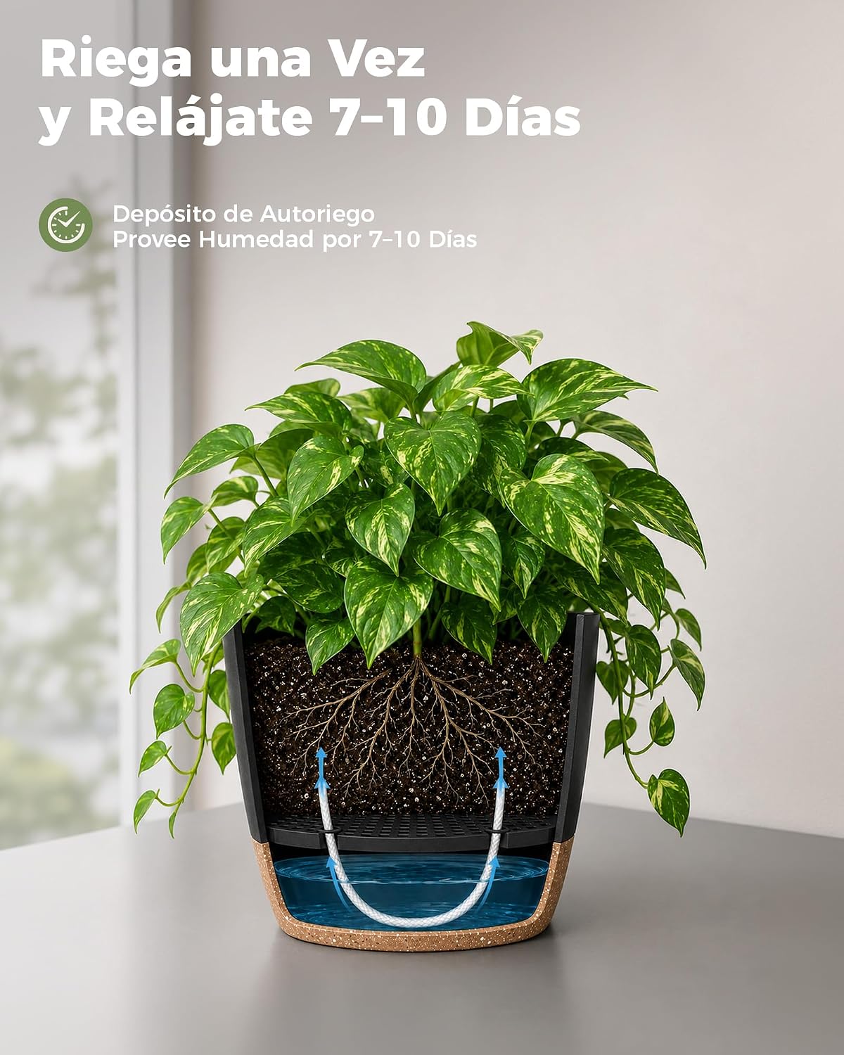 Bamworld Macetas Autorriego Pack de 6